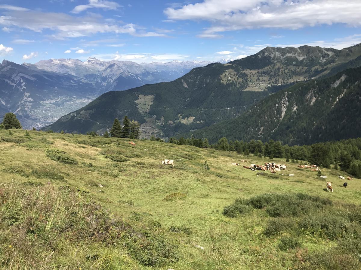 Chalet Clochette 4 Valles-Verbier ラ・ズマ エクステリア 写真